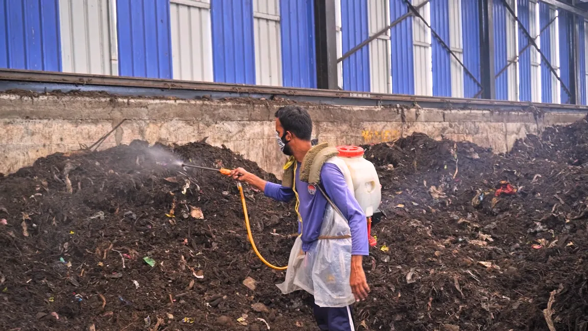 Disinfectant production using natural bacteria