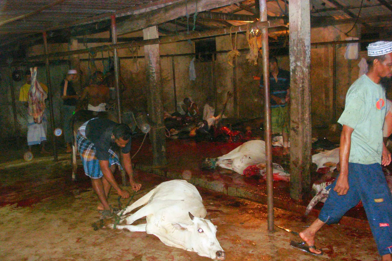 The old slaughterhouse site near the main road
