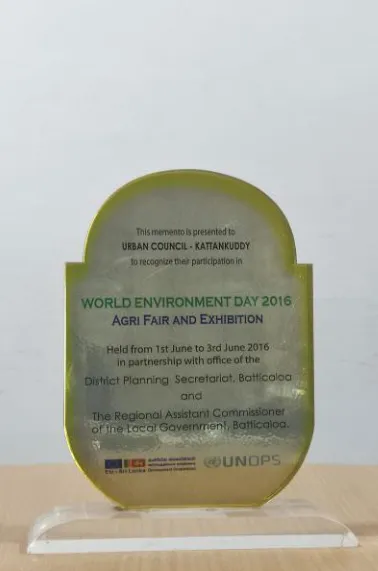 Green Energy Champion 2019 certificate