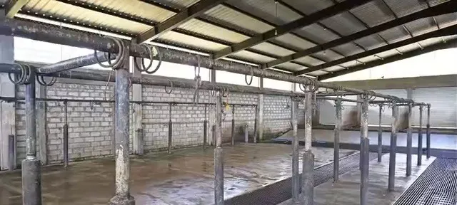 Inside the modern slaughterhouse — overhead rails and hooks above a wash-down floor